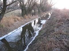 Młynówka Malborska